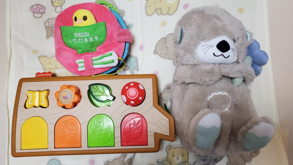 我が家で用意したおもちゃたち