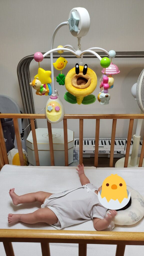 メリーでテンションが上がっている我が子