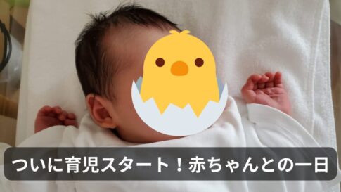 【実録】育児スタート！出産から一夜明けた入院3日目レポート